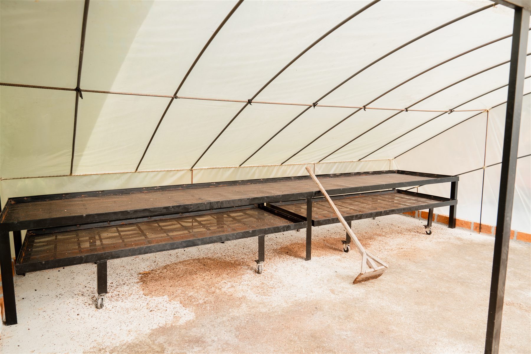 Camas de secado solar para café en La Esmeralda