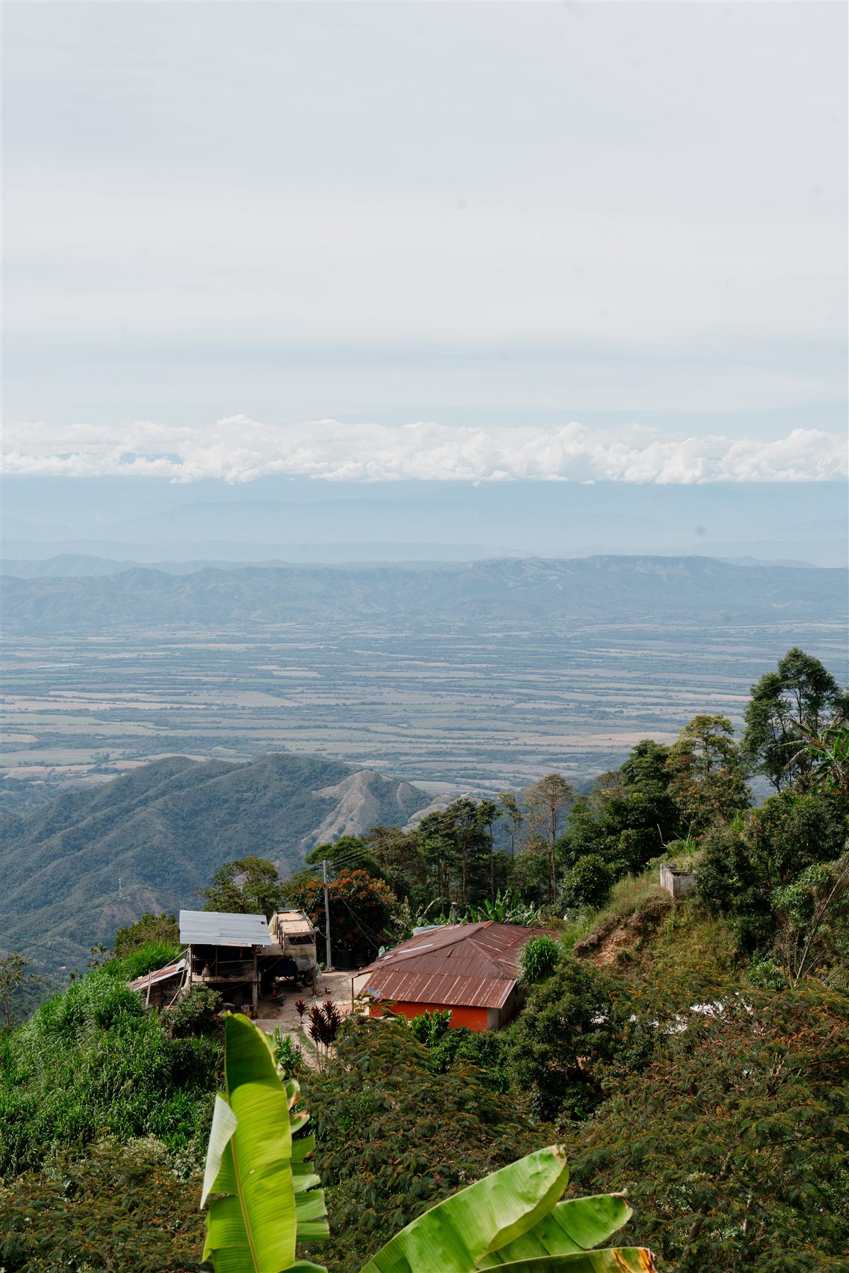 Vista panorámica del valle desde la finca La Esmeralda, Tolima